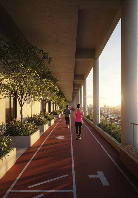 Terrace Walking Track